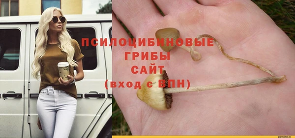 тгк Алзамай