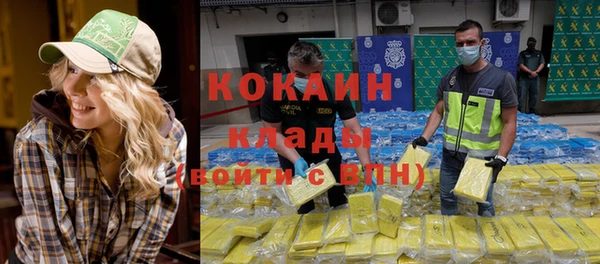 тгк Алзамай