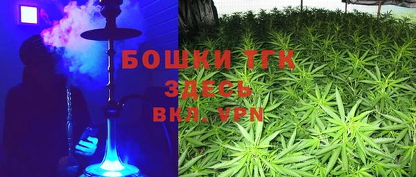 тгк Алзамай