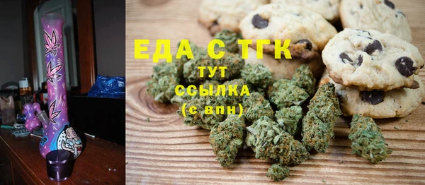 тгк Алзамай