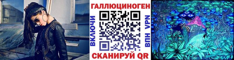 Галлюциногенные грибы Psilocybe  купить закладку  Козловка 